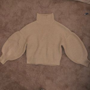 Express Turtle Neck Sweater
